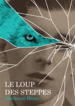 Loup des steppes cover